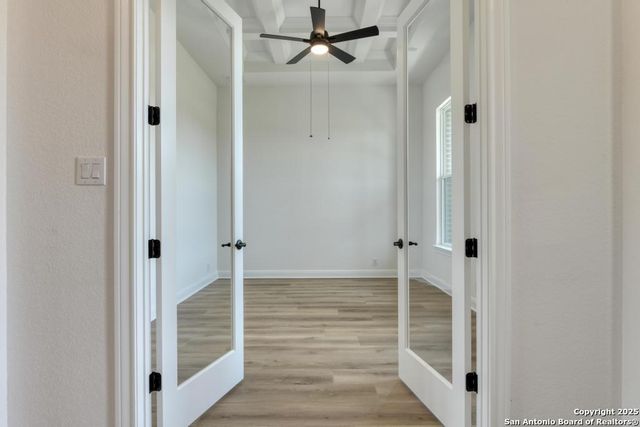 1121 Cape May Warbler, New Braunfels, TX 78132