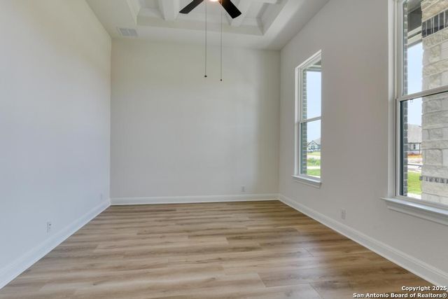 1121 Cape May Warbler, New Braunfels, TX 78132