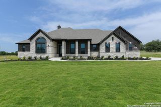 1121 Cape May Warbler, New Braunfels, TX 78132