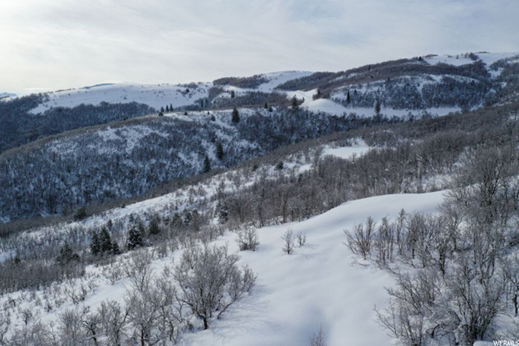 Image 18 of property listing at 5941 E SNOWBASIN RD # 1N, Huntsville, UT 84317