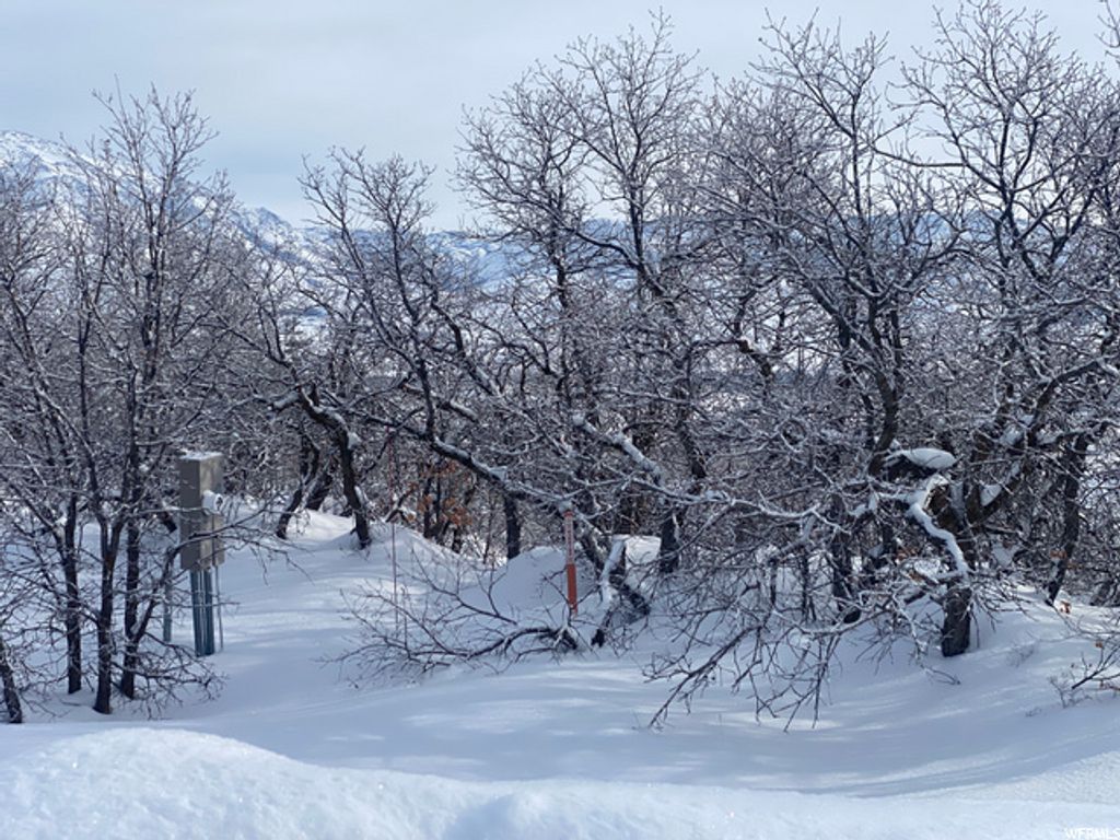 Image 22 of property listing at 5941 E SNOWBASIN RD # 1N, Huntsville, UT 84317