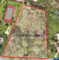 11 TULIP TREE Lane, Alpine, NJ 07620