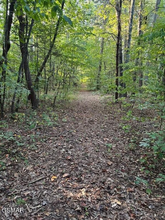 204 New Center Road, Sevierville, TN 37876