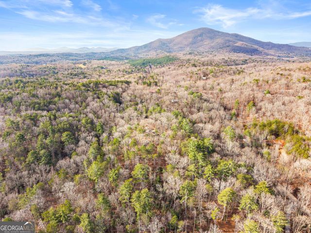 132 Chattahoochee Acres Drive, Cleveland, GA 30528