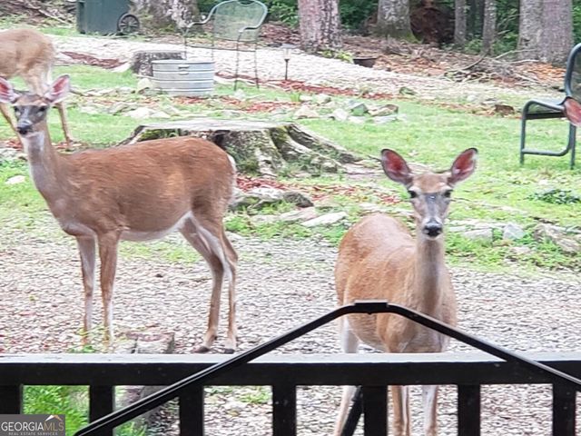 132 Chattahoochee Acres Drive, Cleveland, GA 30528