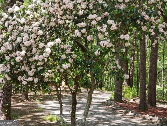 132 Chattahoochee Acres Drive, Cleveland, GA 30528