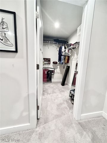 2043 Farroni Drive, Willoughby, OH 44094