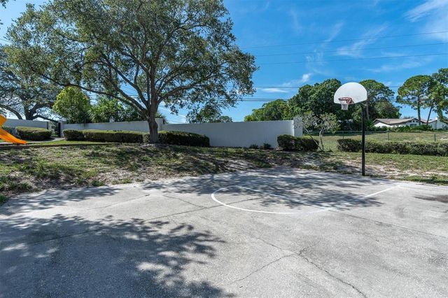 3313 HAVILAND COURT 203, Palm Harbor, FL 34684