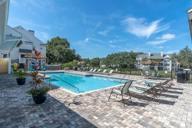 3313 HAVILAND COURT 203, Palm Harbor, FL 34684