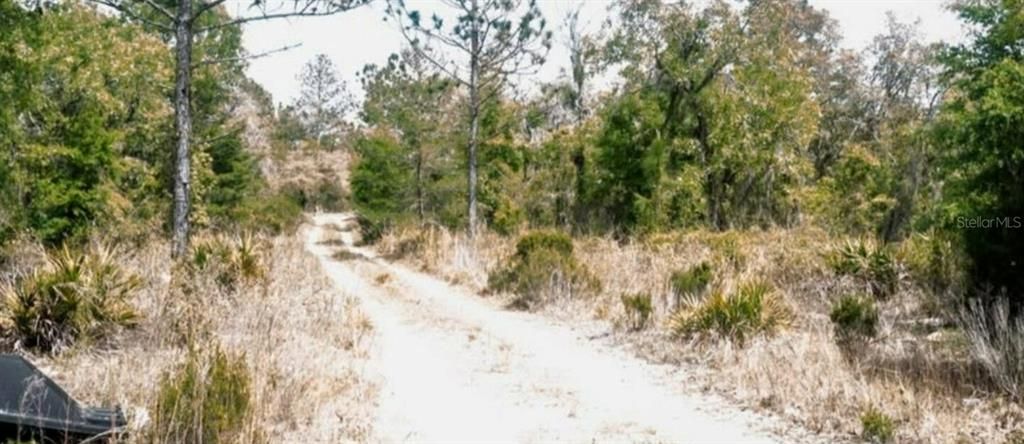 0 NE 61ST LANE, Williston, FL 32696