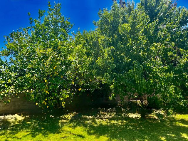 1111 W Kearney Boulevard, Fresno, CA 93706