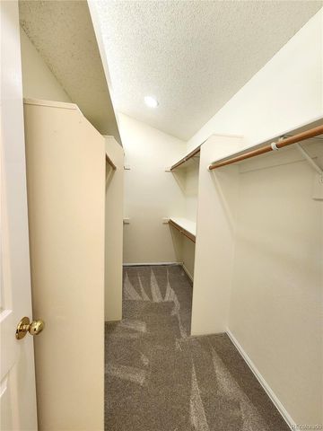 10705 Milliken Street, Parker, CO 80134