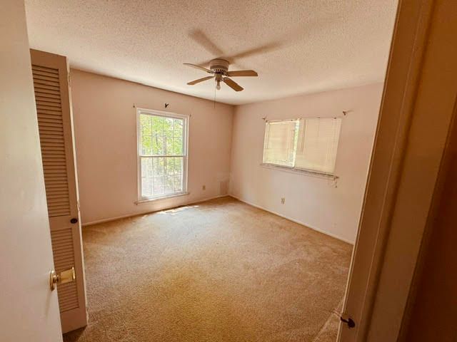 19 Walnut Avenue, Holiday Island, AR 72631