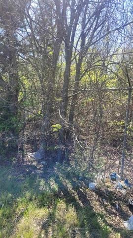 Lot 3 I-45, Palmer, TX 75152