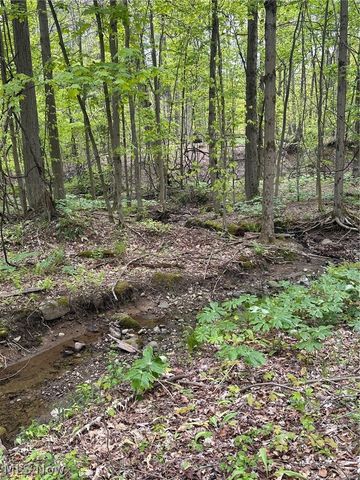 8977 Cedar Road, Chesterland, OH 44026