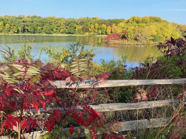 3110 N Chestnut Street 209, Chaska, MN 55318