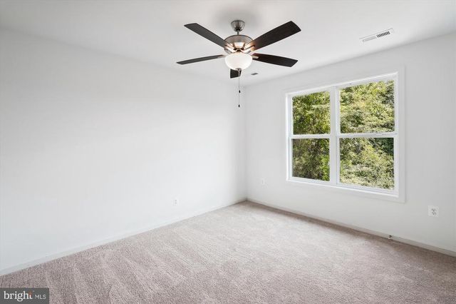 RYLAND CHAPEL RD, Rixeyville, VA 22737
