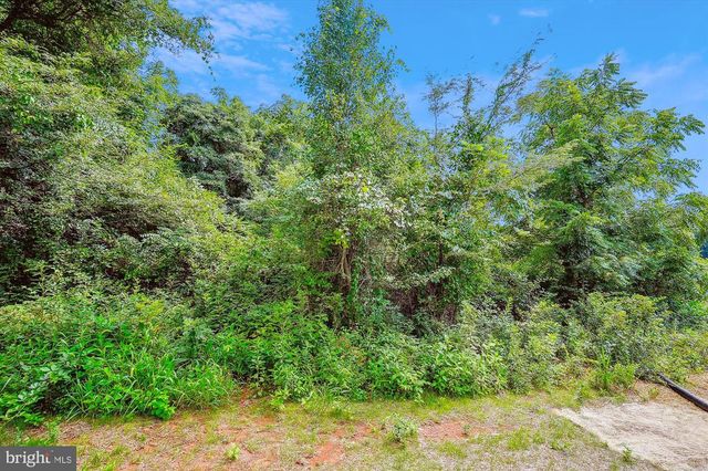 RYLAND CHAPEL RD, Rixeyville, VA 22737