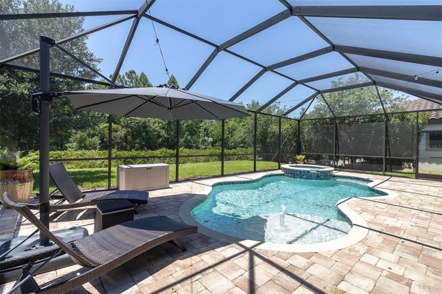 12834 BURNS DRIVE, Odessa, FL 33556