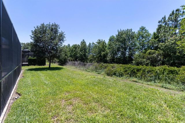 12834 BURNS DRIVE, Odessa, FL 33556