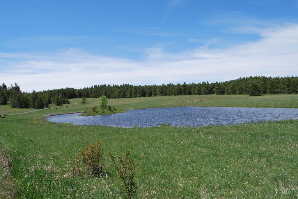 4975 Middle Road, Lenore, ID 83541 photo 26