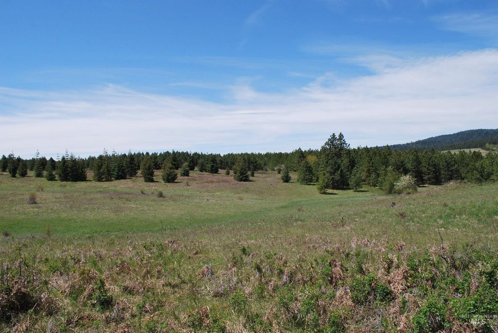 4975 Middle Road, Lenore, ID 83541 photo 28