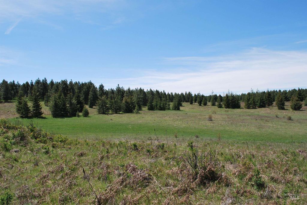 4975 Middle Road, Lenore, ID 83541 photo 29