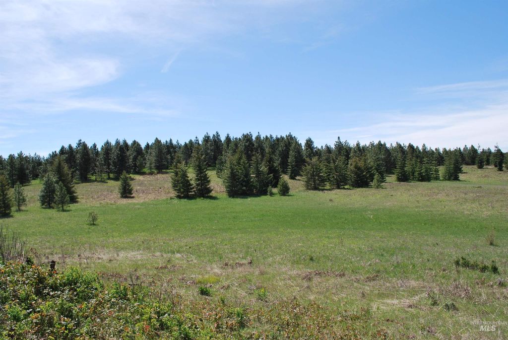 4975 Middle Road, Lenore, ID 83541 photo 30