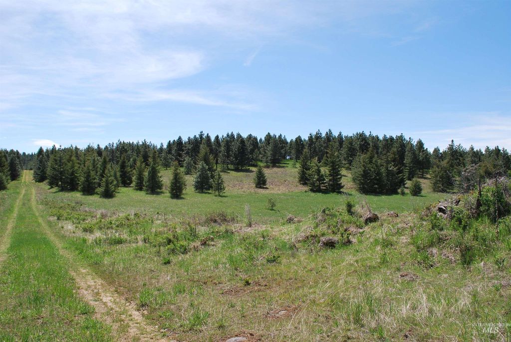 4975 Middle Road, Lenore, ID 83541 photo 33