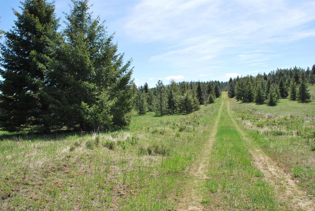 4975 Middle Road, Lenore, ID 83541 photo 34