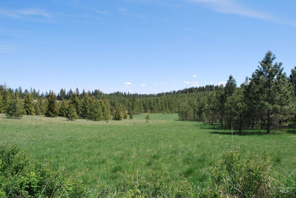 4975 Middle Road, Lenore, ID 83541 photo 36