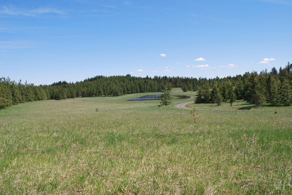 4975 Middle Road, Lenore, ID 83541 photo 37