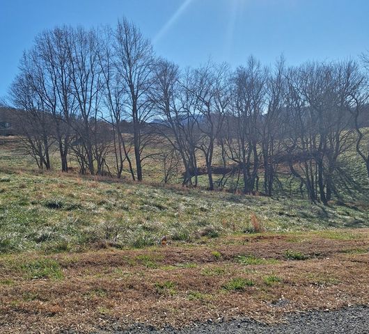 0 Big Valley Drive, Morganton, GA 30560