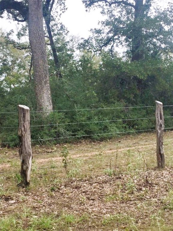 TBD Jackrabbit Lane, Hearne, TX 77859 — photo 4