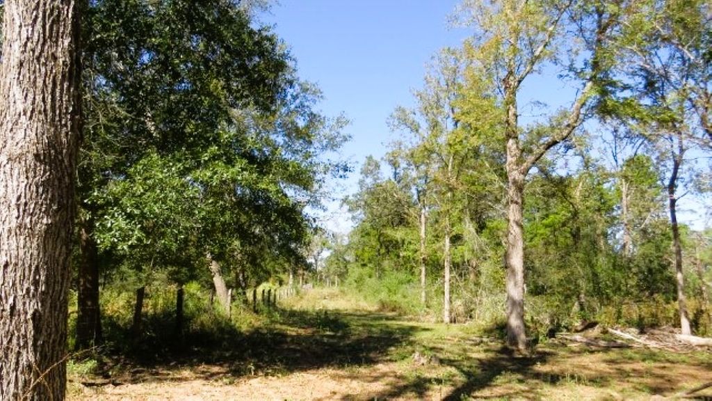 TBD Jackrabbit Lane, Hearne, TX 77859 — photo 5