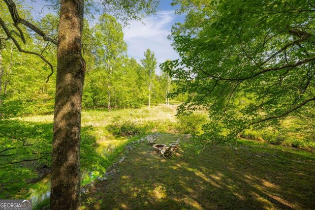 459 Mill Stone Mountain Lane, Blue Ridge, GA 30513