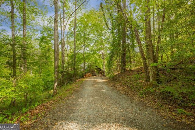 459 Mill Stone Mountain Lane, Blue Ridge, GA 30513