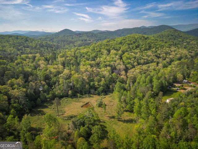 459 Mill Stone Mountain Lane, Blue Ridge, GA 30513