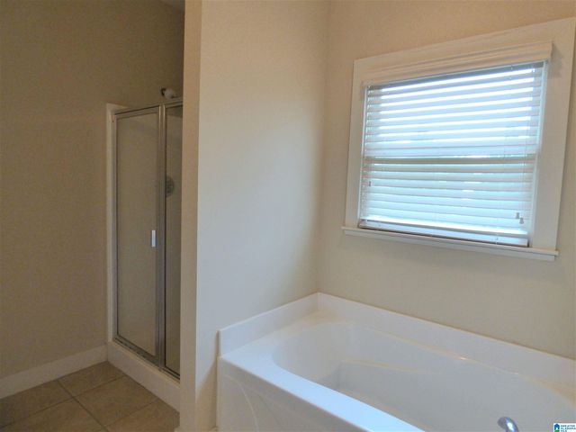 230 CHESSER LOOP ROAD, Chelsea, AL 35043
