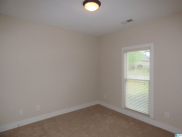 230 CHESSER LOOP ROAD, Chelsea, AL 35043