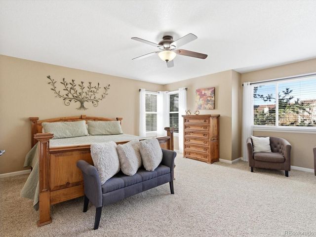 9345 Erminedale Drive, Lone Tree, CO 80124