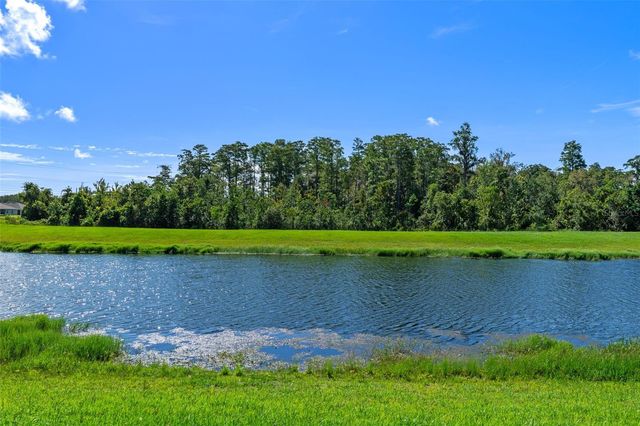 12137 SUMTER DRIVE, Orlando, FL 32824