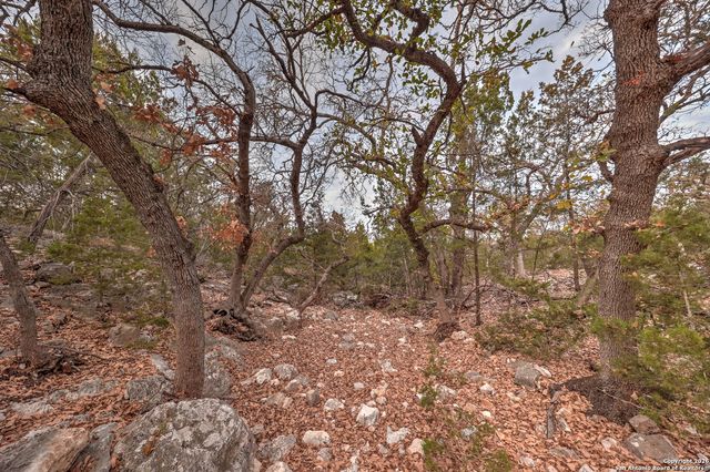 438 Yellowstone Lane, Hunt, TX 78024