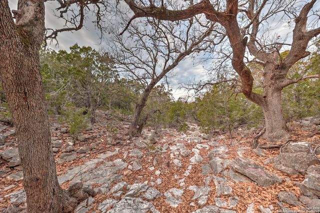 438 Yellowstone Lane, Hunt, TX 78024