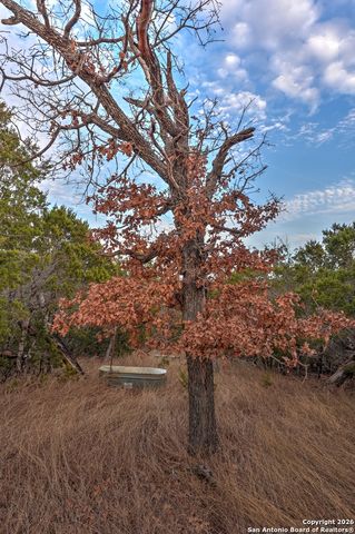 438 Yellowstone Lane, Hunt, TX 78024