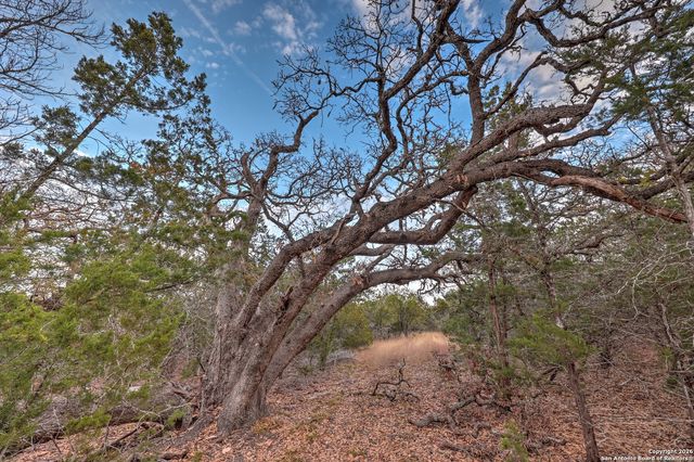 438 Yellowstone Lane, Hunt, TX 78024