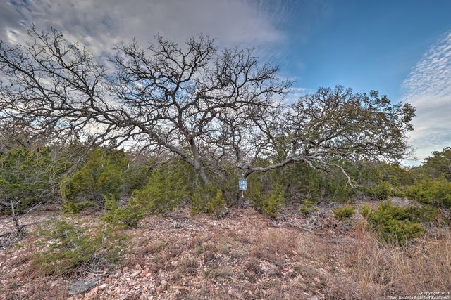 438 Yellowstone Lane, Hunt, TX 78024