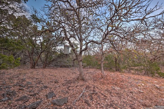 438 Yellowstone Lane, Hunt, TX 78024