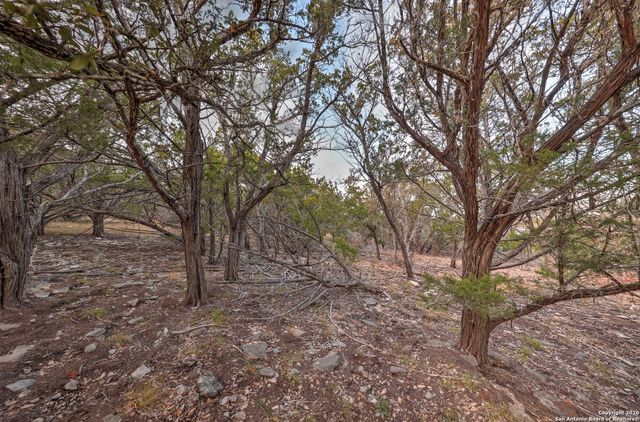 438 Yellowstone Lane, Hunt, TX 78024