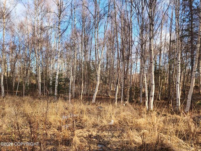 3100 E Pamela Drive, Wasilla, AK 99654